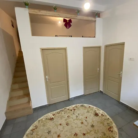 Zlato Immo Luxe Apartment Timisoara